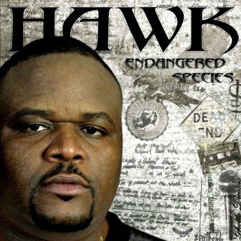 Hawk Yall Don't Know