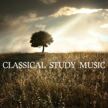 Ludovico Einaudi feat. Relaxing Piano Music Consort Fly