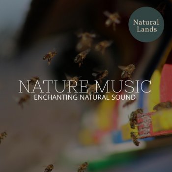 Glad Nature Healing Vibes Rollicking Songbirds