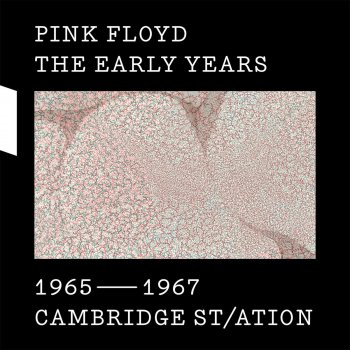 Pink Floyd Remember Me