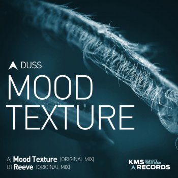 Duss Mood Texture - Original Mix
