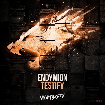 Endymion Testify - Radio Edit