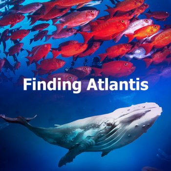 Noise of Water Seafront Breeze