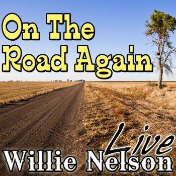 Willie Nelson Medley: Funny How Time Slips Away / Crazy / Night Life (Live)