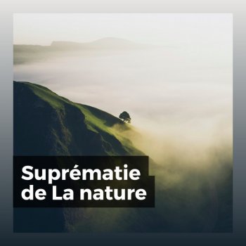 Sons de la nature Calming Breeze, Pt. 14
