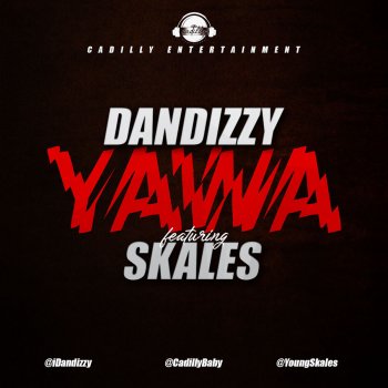DanDizzy feat. Skales Yawa