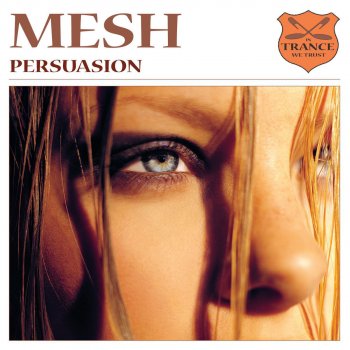 Mesh Trancefixion - Re-Work