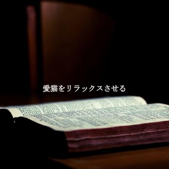 Исполнитель Rainy Day Jazz, альбом 愛猫をリラックスさせる