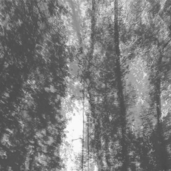 сны твоих мёртвых друзей feat. Паломар Не смотри