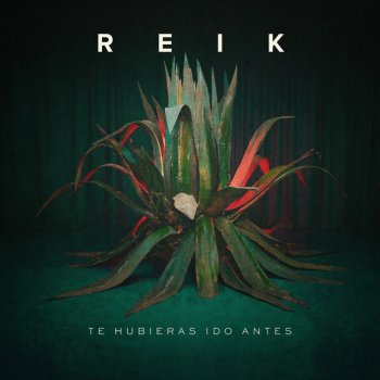 Reik Te Hubieras Ido Antes