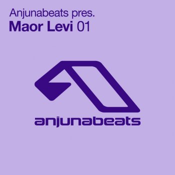 Maor Levi Reflect - Original Mix