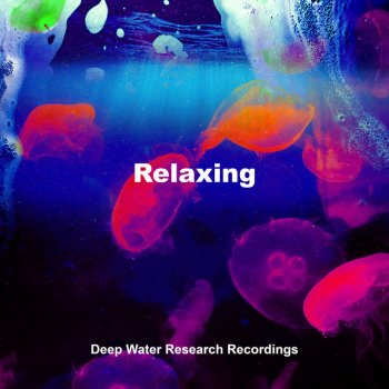Deep Water Research Recordings Waves of Noise