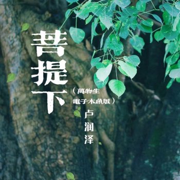 卢润泽 菩提下(万物生电子木鱼版)