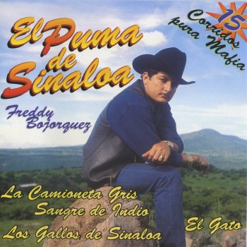 El Puma De Sinaloa El Gato