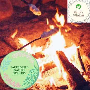 Evil Fire Boost Music Sleepy Cricket Sound