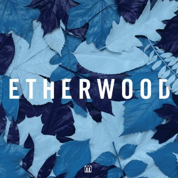 Etherwood Sunlight Splinters