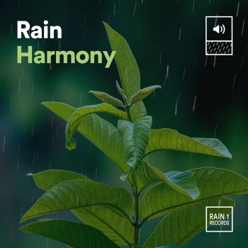 Исполнитель Yoga Rain, альбом Rain Harmony