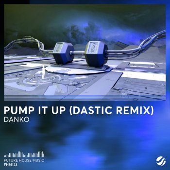 Danko feat. Dastic Pump It Up - Dastic Remix