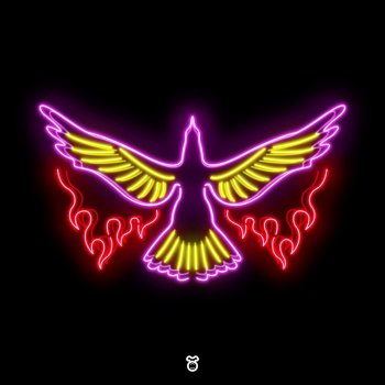 Wiwek feat. Stush & Kuenta I Tambu Rise