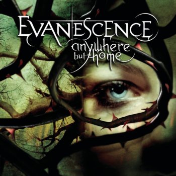 Evanescence My Last Breath (Live)
