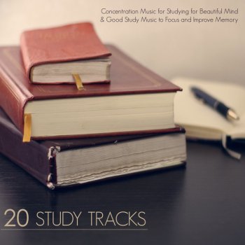 Concentration Music Ensemble Classical Instrumental Music for Studying