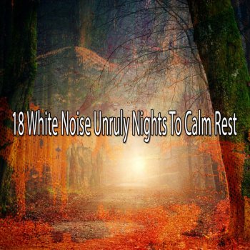 White Noise Babies The Gift Of White Noise