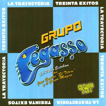 Grupo Pegasso Pegasso