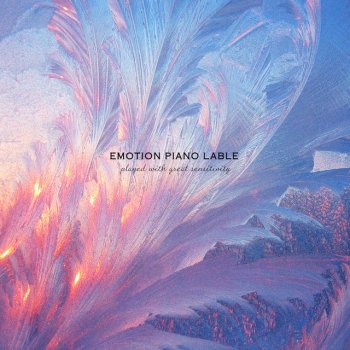 Wanderer Ice Flower