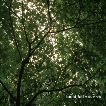 Lucid Fall Light of the song