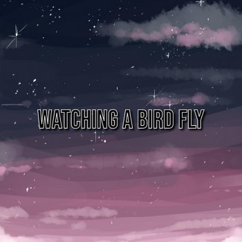 Phonedown Watching A Bird Fly