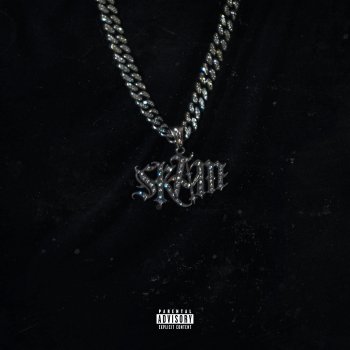 Исполнитель Skam, альбом OK OK