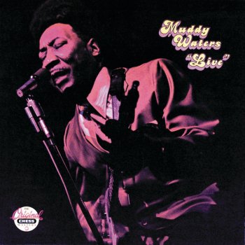 Muddy Waters What Is That She Got - Live At Mr. Kelly's/1971