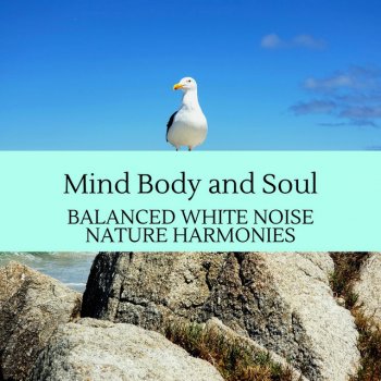 Nature Freaks Sound Library Ocean Pathway