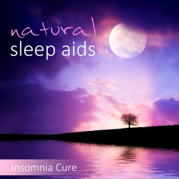 Insomnia Cure Music Society Relaxation Meditation