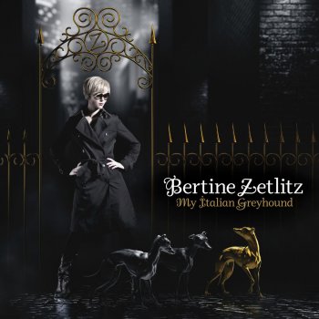 Bertine Zetlitz Never Let You Go