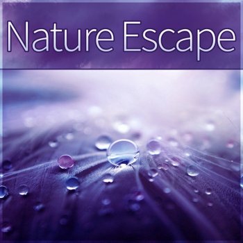 Peaceful Piano Music Collection Piano Music
