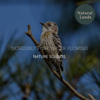 Glad Nature Healing Vibes Hurly Fire