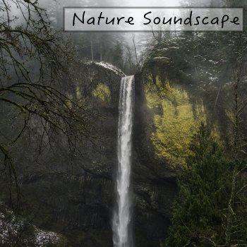 Nature Sounds, Nature, Rain & Rain Sounds Forest Exploration