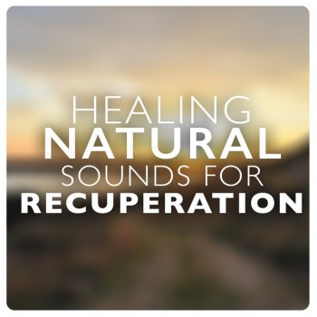 Healing Sounds for Deep Sleep and Relaxation Calm Coppice