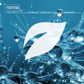 Forteba feat. Telekollektiv Aquafield - Telekollektiv Remix