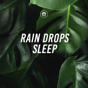 Meditation Music Fresh Summer Rain