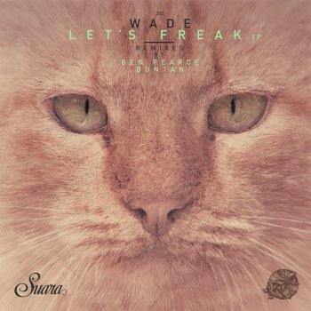 Wade Trucco (Bontan Remix)