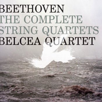 Ludwig van Beethoven feat. Belcea Quartet String Quartet No. 10 in E-Flat Major, Op. 74 "Harp": III. Presto