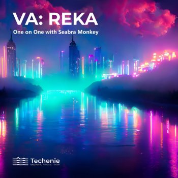Seabra Monkey Fuera De Lugar (Hopler Route Remix) [Mixed]
