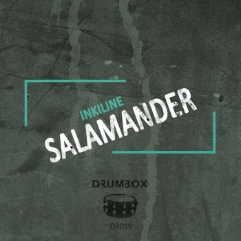 Inkiline Salamander