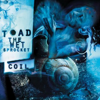 Toad the Wet Sprocket Dam Would Break