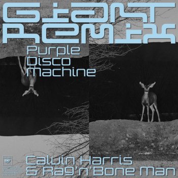 Calvin Harris feat. Rag'n'Bone Man & Purple Disco Machine Giant (with Rag'n'Bone Man) - Purple Disco Machine Remix