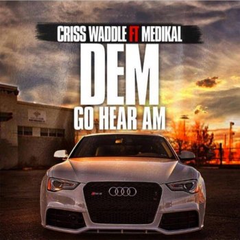 Criss Waddle feat. Medikal Dem Go Hear Am