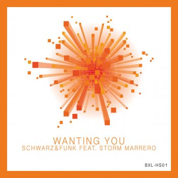 Schwarz & Funk feat. Storm Marrero Wanting You (Classic House Mix)