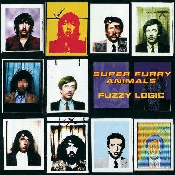 Super Furry Animals Fuzzy Birds